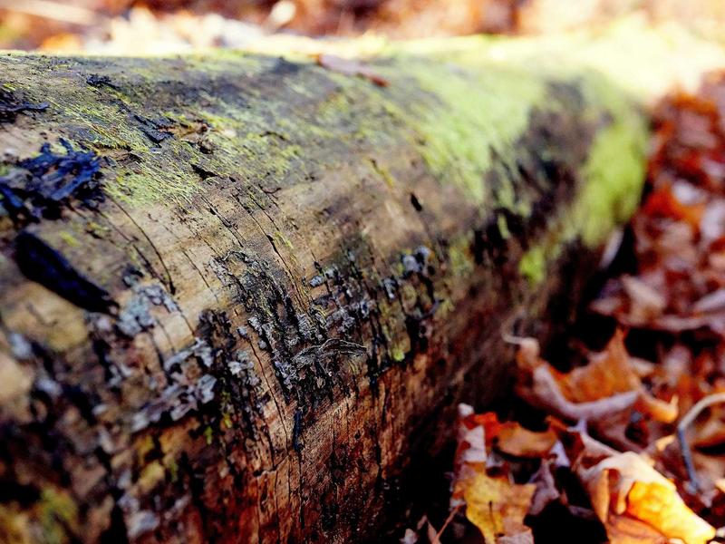 sudoku dark theme screenshot 2